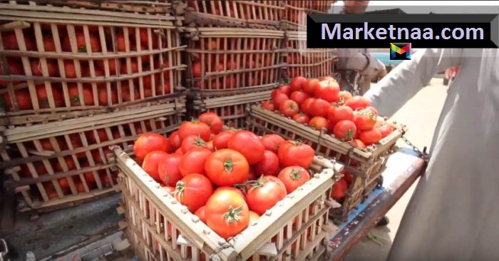 أسعار الخضروات والفاكهة في مصر اليوم الجمعة 4 أكتوبر 2019| بعد خفض أسعار الوقود