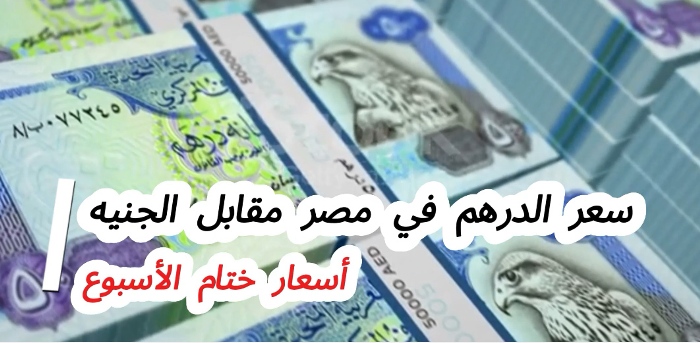 Read more about the article استقرار الدرهم الإماراتي أمام الجنيه بختام تعاملات الأسبوع بعد موجة تراجع