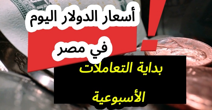 Read more about the article كم سجل الدولار مقابل الجنيه اليوم تحديث الأحد 6 يوليو 2025| بشركات الصرافة والبنوك