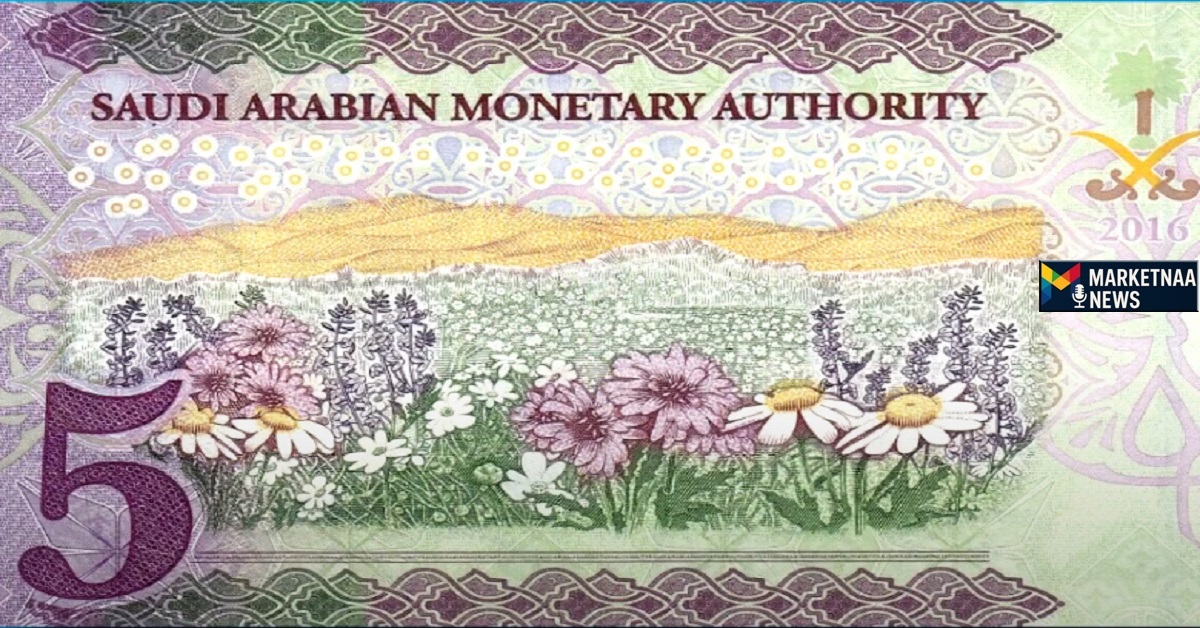 Read more about the article سعر اليورو مقابل الريال| تحويل 1000 EUR إلى SAR اليوم السبت 16-8-2025