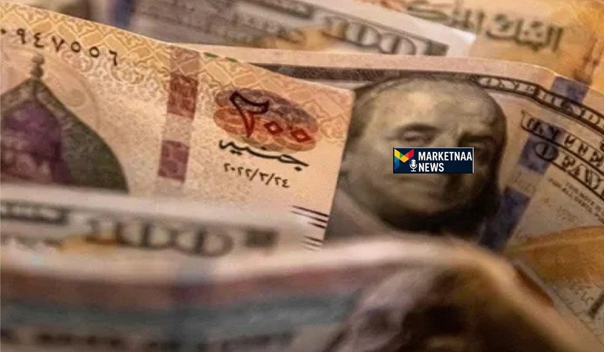 Read more about the article قبل بدء أول جلسة بعد الحرب الإيرانية| أسعار العملات في مصر ريال درهم دولار دينار الأحد 1-3-2026